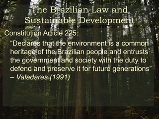 The Brazilian Environmental DilemmaHirakuri’s “Can Law Save the Forest?”:She writes on the deficiencies of the Brazilian rule of lawHas number of recommendations on how the law can become more efficient in terms of forestry managementDoes not grant the economic market full power in influencing rain forest matters 