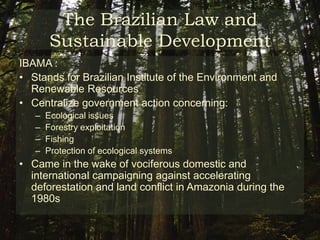 The Brazilian Environmental DilemmaHirakuri’s “Can Law Save the Forest?”:Recommendations for the deforestation issue, illegal logging in particular:Factors that can be changed Regulatory approachMarket-oriented approachSocial control/consensus-oriented approachFactors that are more difficult to changeForest culture Forest land tenure Legitimacy of the government 