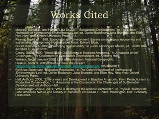 Sustainable Development (Economic perspective)What are the needs of the Brazilian economy in the forest?Who are the actors that benefiting the most with the resources available on Amazonia legal? The greater portion of society or big business? Should this be an issue?What are the most successful business in the Amazonia Legal region?What are the government’s current development programs?What are the politicians say on this matter?What is the voice of powerful interest groups that are pro-development?Can economic development be sensitive to indigenous peoples and the protection of the environment?