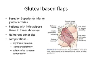 Gluteal based flaps
• Based on Superior or inferior
gluteal arteries
• Patients with little adipose
tissue in lower abdomen
• Numerous donor site
• complications –
– significant seroma,
– contour deformity
– sciatica due to nerve
compression
 