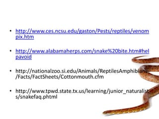 http://www.ces.ncsu.edu/gaston/Pests/reptiles/venompix.htmhttp://www.alabamaherps.com/snake%20bite.htm#helpavoidhttp://nationalzoo.si.edu/Animals/ReptilesAmphibians/Facts/FactSheets/Cottonmouth.cfmhttp://www.tpwd.state.tx.us/learning/junior_naturalists/snakefaq.phtml