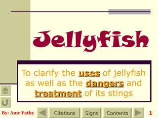 Jellyfish To clarify the  uses  of jellyfish as well as the  dangers  and  treatment  of its stings 