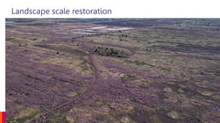 Landscape scale restoration
 