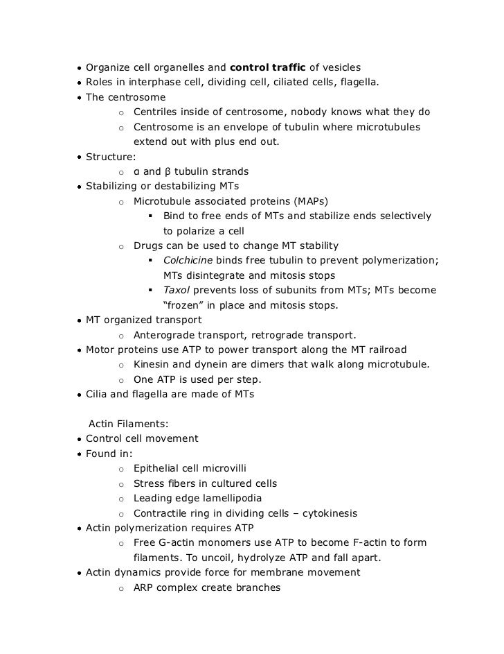 Full sentence outline example image