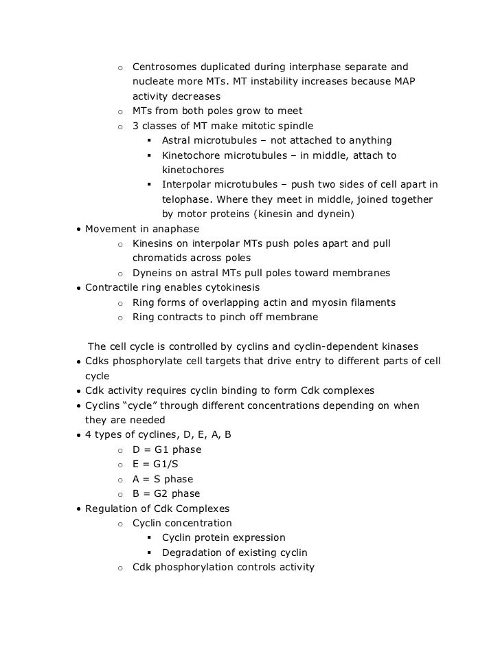 Final outline example picture