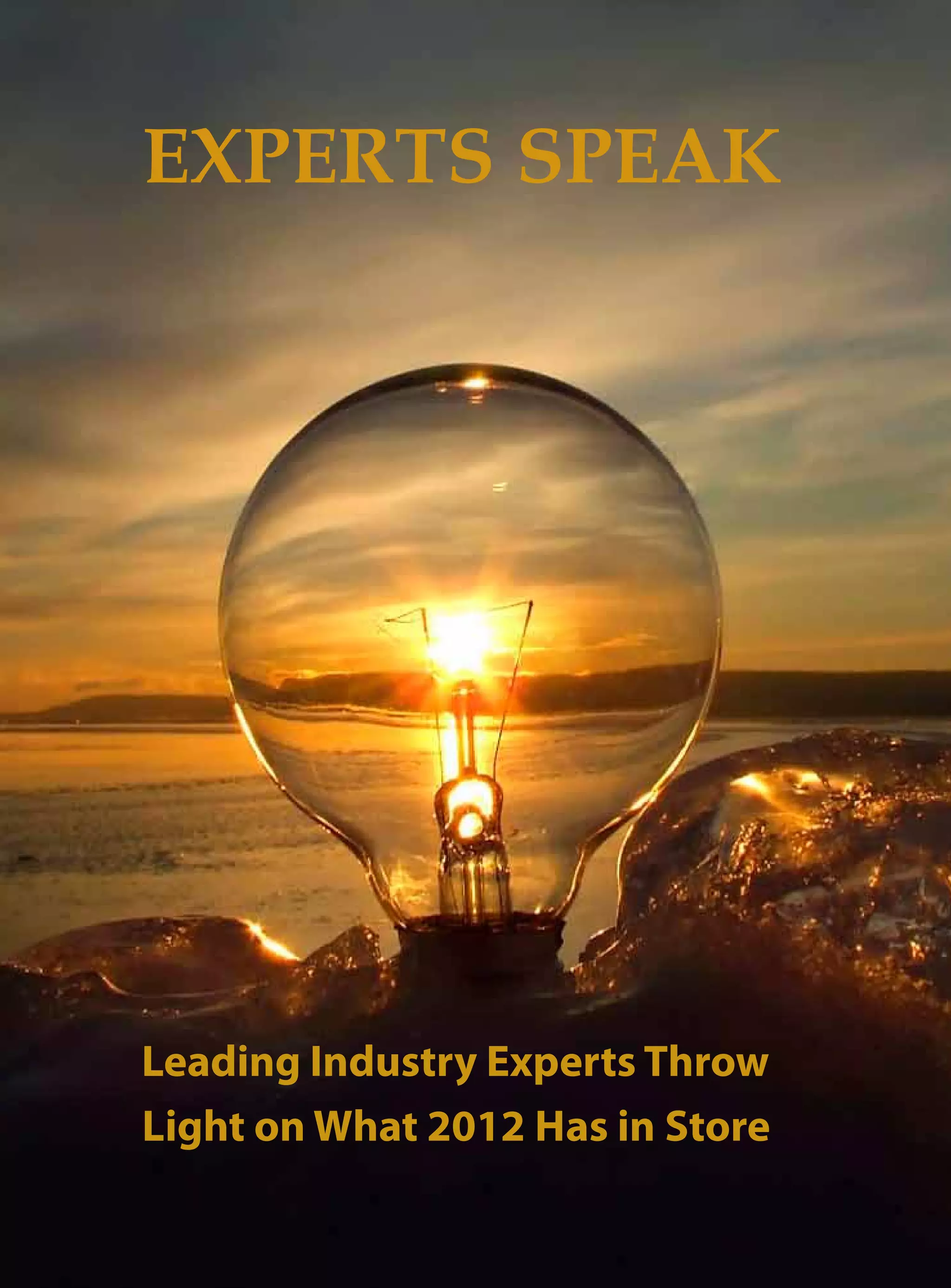 EXPERTS SPEAK




Leading Industry Experts throw
light on what 2012 has in store
 