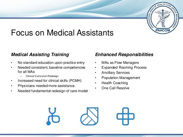 writing a report essay writing an analytical essay scope of essay on medical assistant