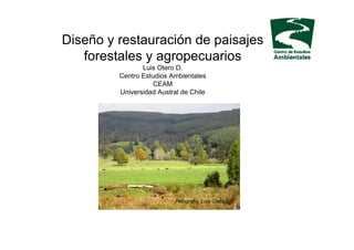 Diseño y restauración de paisajes
   forestales y agropecuarios
                Luis Otero D.
         Centro Estudios Ambientales
                    CEAM
         Universidad Austral de Chile




                           Fotografía :Luis Otero
 