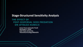 Stage-Structured Sensitivity Analysis
THE EFFECT OF
POST-DISPERSAL SEED PREDATION
ON ATTALEA HUMILIS
Casey Trout and Justin Tirrell
December 4, 2018
Utah State University
Theoretical Ecology BIOL4270
 