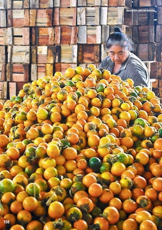 Naranjillas para las bebidas

156

 
