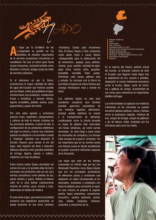 A

NAPO

l bajar por la Cordillera de los
LLanganates es posible ver los
deshielos de nevados importantes
de la serranía ecuatoriana convertirse en
caudalosos ríos que se abren paso hasta
el gran Amazonas, conocido también como
Marañón o Conoris, testigo ocular de miles
de secretos culinarios.
Si el descenso es por la Sierra,
encontramos la mayor cantidad de saltos
de agua del Ecuador que hicieron posible
que los Quijos, indios que poblaban el lugar,
transformaran sus productos, recolectaran
frutas y hortalizas, y cazaran dantas,
tapires, armadillos, jabalíes, saínos, osos,
guacamayos y pavas de monte.

Por esta selva agreste y armoniosa
pasaron incas, españoles, catequizadores
y colonos de todo el mundo, inclusive de
las provincias aledañas. A pesar de ello, la
configuración de los productos endémicos
del lugar es intacta y fueron sus visitantes
quienes se adaptaron a la aromática canela
e “ishpingo” soñando con descubrir El
Dorado (Yasuní) para extraer el oro del
lugar; este trayecto los llevó a descubrir
delicias culinarias como grandes estofados
de tortuga, lagarto, iguana o culebra,
cubiertos con hoja de plátano.
Estos bravos indios Quijos ahumaban las
carnes de caza y en grandes ollas de barro
cocinaban sus productos solo con ají, sal y
hierbas amazónicas como plantas de ajo,
sacha cilantro y yuyos. Debido al intenso
calor de la zona bebían copiosamente
chichas de chonta, yuca, morete y maíz,
elaboradas en bateas de madera.
En esta selva virgen, que hasta la actualidad
conserva una vegetación exuberante, se
puede encontrar en sus cinco cantones

-Archidona, Carlos Julio Arosemena
Tola, El Chaco, Quijos y Tena- productos
como patas muyo o cacao blanco
-indispensable para la elaboración del
ají amazónico-, papaya, yuca, plátano,
morete, yuyo, caimito, variedad de ajíes,
papa china, chonta, pitón, guayaba,
granadilla, naranjilla, fréjol, guaba,
chirimoya, café, cacao, palmito, piña
y achiote. Su cercanía con la Sierra ha
permitido el ingreso de tribus Kichwa que
consigo introdujeron maíz y tomate de
árbol.
Los valientes Quijos no solo eran
excelentes cazadores sino también
grandes guerreros poseedores de
una inmensa logística alimentaria,
poseían amplia sabiduría en cuanto
a la transportación de alimentos
condensados como la chicha envuelta
en hojas de plátano bien amarradas
con lianas selváticas, así como carnes
ahumadas. Su fama llegó a parar todas
las avanzadas de conquista y su famoso
indio cacique de la guerra “Jumandy” fue
tan importante que en su nombre existe
una famosa cueva en donde actualmente
se pueden encontrar diferentes especies
de la Amazonía.

Habitantes: 103.697 hab.
Zona: 2
Provincia : Napo
Altura : 1282 msnm
Temperatura Promedio: 0°C a 26°C
Mapa zona de vida : De bosque seco tropical a bosque pluvial
sub alpino con zonas de nieve.
Ingrediente estrella: Bagre amazónico
Tipo de clima:	 De Tropical megatérmico lluvioso a nieval.
Plato Emblema : Plato amazónico
Cantones: 5

En la reserva del Yasuní, pulmón actual
del mundo, se fusionan colonos de todo
el Ecuador que llegaron hasta Napo tras
la explotación de oro, caucho y petróleo,
adaptando la cocina tradicional amazónica
como la trucha, tilapia, carne de cerdo,
res y gallinas de campo, provenientes de
sus zonas para convertirse en importantes
platillos del lugar.
Las enfermedades se aplacan con medicina
tradicional, en los mercados se pueden
encontrar plantas exóticas, raíces y hierbas
como la ayahuasca sagrada, manteca de
boa, sangre de tortuga, sangre de gallinazo
y ajo de bejuco, todas recetadas por los
shamanes para curar los males.

Las hojas que caen de los árboles
emprenden un infinito viaje por los ríos
Misahuallí, Payamino, Anzú, Napo y Quijos
que son los principales proveedores
de deliciosos peces y crustáceos que
adquieren un sabor incomparable al ser
ahumados, braseados o protegidos con
hojas de plátano para cocinarlos al vapor,
de esta manera se prepara la anguila,
paiche, bagre amazónico, carachamas,
bocachico, sardina palometa, piraña,
raya, sábalo, cangrejos, ostiones,
caracoles y camarones de río.

187

 