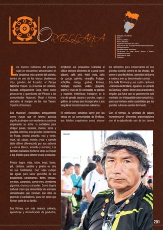 ORELLANA

Habitantes: 136.396 hab.
Zona: 2
Provincia : Orellana
Altura : 280 msnm
Temperatura Promedio: 16°C a 25°C
Mapa zona de vida : De bosque húmedo tropical hasta bosque
pluvial pre montano
Ingrediente estrella: Bocachicho
Tipo de clima:	De mega térmico lluvioso a tropical
megatérmico húmedo
Plato Emblema : Maito
Cantones: 4

os tesoros culinarios del próximo
siglo se encuentran almacenados en
la despensa más grande del planeta,
dentro de uno de los íconos biodiversos
más grandes del Ecuador, el Parque
Nacional Yasuní. La provincia de Orellana,
llamada antiguamente Coca, tiene como
protectores y guardianes del Parque a las
comunidades Huaorani, Shuar y Kichwa
ubicados al margen de los ríos Yasuní,
Tiputini y Cononaco.

ampliaron sus propuestas culinarias al
utilizar siempre alimentos de la zona como
plátano, café, piña, fréjol, maíz, caña
de azúcar, palmito, naranjilla, frutipan,
achiotillo, mango, guabas, limones,
naranjas, zapotes, uvillas, guayaba,
pepino y más de 50 variedades de plantas
y especies endémicas; trabajaron en la
cría de ganado vacuno y porcino, cuyes y
gallinas de campo para incorporarlos a sus
singulares transformaciones culinarias.

los alimentos para conservarlos en sus
grandes cocinas dentro de las chozas, así
como el uso de pilches, utensilios de barro
y madera, son su denominador común.
Esta bella Provincia y sus cuatro cantones
-Francisco de Orellana, Aguarico, La Joya de
los Sachas y Loreto- tienen una característica
singular que hace que su gastronomía esté
marinada con el inigualable sabor amazónico,
pues sus fronteras están custodiadas por los
grandes pulmones verdes del mundo.

Los Huaorani -conocidos antiguamente
como Aucas que en idioma quichua
significa salvajes- son excelentes cazadores
empleando su arma: la cerbatana para
atrapar pavas, tucanes, monos, loros y
paujiles. Además, eran grandes recolectores
de frutas, chonta amarilla, roja y verde,
maní, ají, cacao, morete, yuca y camote
(este último diferenciado por sus sabores
y colores blanco, amarillo y morado). Los
también llamados hombres libres se trepan
a los árboles para obtener estos productos.

El misticismo selvático corre por las
venas de las comunidades de Orellana,
sus hábitos coquinarios como ahumar

Con el tiempo, la variedad de caldos
incrementaron diferentes presentaciones
con el acostumbrado uso de las carnes

L

Shaman

Pescar bagre, vieja, ratón, boyo, tansa,
pili, centavo, sardina y piraña es otra
de sus habilidades. Con redes cobijan
las aguas para sacar provecho de los
bocachicos, carachamas, dares, intokas,
coravos, cangrejos, camarones, almejones
gigantes, churos y caracoles. Como dogma
cultural creen que alimentarse de animales
domesticados que conviven con ellos es
practicar el canibalismo, pues son seres que
forman parte de su familia.
Los Kichwa, con más herencia culinaria,
aprendizaje y domesticación de productos,

201

 