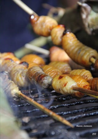 Mayones, chontacuros.

217

 