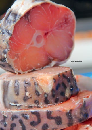 Bagre amazónico

223

 