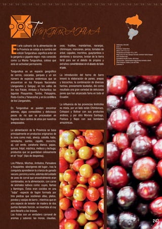 E

TUNGURAHUA

l arte culinario de la alimentación de
la Provincia se cobija a la sombra del
volcán Tungurahua -significa ardor en
la garganta o gigante negro- más conocido
como La Mama Tungurahua, coloso que
está en actividad permanente.
Tungurahua es un espacio geográfico
de cerros, cascadas, parques y un sin
número de especies endémicas que se
encuentran en los Parques Nacionales
Llanganates y Sangay; en los valles de
los ríos Patate, Ambato y Pachanlica; las
lagunas Pisayambo, Tambo, Patojapina,
Rodo-Cocha y Yanacocha; y en la cordillera
de los Llanganates.
En Tungurahua se pueden encontrar
además, algas comestibles y deliciosos
peces de río que se procesaban en
fogones hace cientos de años por nuestros
antepasados.

uvas, frutillas, mandarinas, naranjas,
chirimoyas, manzanas, peras, tomates de
árbol, capulíes, mortiños, guaytambos o
abridores y duraznos, brotan de la tierra
fértil para ser el deleite de propios y
extraños convirtiéndose en el abasto de todo
el país.

Habitantes: 504.583
Zona: 3
Provincia: Tungurahua
Altura: 2.577 m.s.n.m.
Temperatura promedio: 4°C a 24°C
Mapa zona de vida: Bosque húmedo montano hasta bosque
seco montano bajo
Ingrediente estrella: Frutas de la zona
Tipo de clima : Desde tropical mega térmico húmedo a nieval
Plato Emblema: Gallina y pan de Pinllo
Cantones: 9

La introducción del horno de barro
innovó la elaboración de panes, arepas
y bizcochos; la combinación de diversas
harinas, previamente leudadas, dio como
resultado una gran variedad de deliciosos
panes que han alcanzado fama en todo el
Ecuador.
La influencia de las provincias limítrofes
es mixta, por un lado están Chimborazo,
Cotopaxi y Bolívar con sus productos
andinos, y por otro Morona Santiago,
Pastaza y Napo con sus bondades
amazónicas.

La alimentación de la Provincia se basa
principalmente en productos originarios de
la zona como maíz, alverja, cebolla, haba,
remolacha, sambo, zapallo, morocho,
ají, col verde, zanahoria blanca, papas,
quinua, fréjol, máchica, melloco y lechuga;
productos que se guardaban celosamente
en el “troje” (tipo de despensa).
Los Píllaros, Mochas, Ambatos, Pansaleos
y Huapántes -aborígenes del lugar-, tras la
conquista aprendieron la crianza de ganado
vacuno, porcino y ovino, además del cuidado
de aves de corral que ancestralmente eran
combinados, en la alimentación, con carne
de animales nativos como: cuyes, llamas
y llamingos. Éstos eran cocidos en una
“tulpa” -especie de fogón formada por
tres piedras que sostienen ollas, platos,
pondos y vasijas de barro-, mientras que en
una especie de tenedor de madera de dos
puntas llamado horcón, se insertaba al cuy
para llevarlo a las brasas.
Las frutas son un verdadero carnaval de
aromas y sabores: las moras, claudias,

247

 