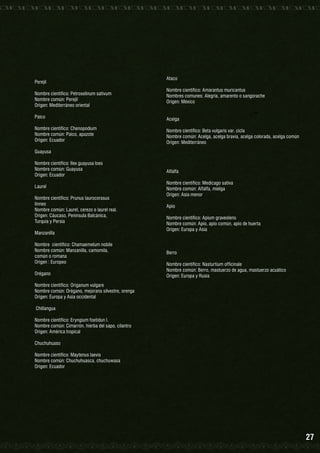 Perejil
Nombre científico: Petroselinum sativum
Nombre común: Perejil
Origen: Mediterráneo oriental

Ataco
Nombre científico: Amarantus muricantus
Nombres comunes: Alegría, amarento o sangorache
Origen: México

Paico

Acelga

Nombre científico: Chenopodium
Nombre común: Paico, apazote
Origen: Ecuador

Nombre científico: Beta vulgaris var. cicla
Nombre común: Acelga, acelga bravía, acelga colorada, acelga común
Origen: Mediterráneo

Guayusa
Nombre científico: Ilex guayusa loes
Nombre común: Guayusa
Origen: Ecuador

Alfalfa

Laurel

Nombre científico: Medicago sativa
Nombre común: Alfalfa, mielga
Origen: Asia menor

Nombre científico: Prunus laurocerasus
linneo
Nombre común: Laurel, cerezo o laurel real.
Origen: Cáucaso, Península Balcánica,
Turquía y Persia
Manzanilla
Nombre científico: Chamaemelum nobile
Nombre común: Manzanilla, camomila,
común o romana
Origen : Europeo
Orégano

Apio
Nombre científico: Apium graveolens
Nombre común: Apio, apio común, apio de huerta
Origen: Europa y Asia

Berro
Nombre científico: Nasturtium officinale
Nombre común: Berro, mastuerzo de agua, mastuerzo acuático
Origen: Europa y Rusia

Nombre científico: Origanum vulgare
Nombre común: Orégano, mejorana silvestre, orenga
Origen: Europa y Asia occidental
Chillangua
Nombre científico: Eryngium foetidun l.
Nombre común: Cimarrón, hierba del sapo, cilantro
Origen: América tropical
Chuchuhuaso
Nombre científico: Maytenus laevis
Nombre común: Chuchuhuasca, chuchuwasa
Origen: Ecuador

27

 