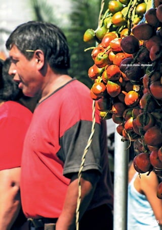 Fruto de la chonta: chontaduro

285

 