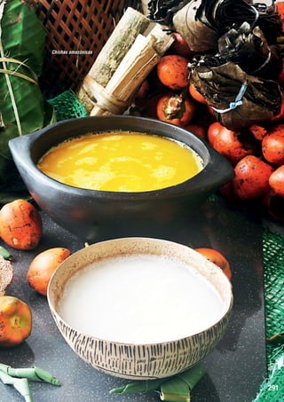 Chichas amazónicas

291

 