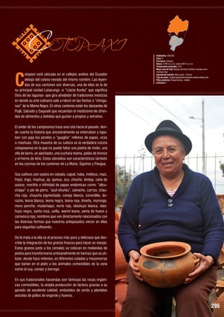 C

COTOPAXI

otopaxi está ubicada en el callejón andino del Ecuador
debajo del coloso nevado del mismo nombre. Las leyendas de sus cantones son diversas, una de ellas es la de
su principal ciudad Latacunga -o “Llacta Kunka” que significa
Dios de las lagunas- que gira alrededor de tradiciones mestizas
en donde su arte culinario sale a relucir en las fiestas o “chinganas” de la Mama Negra. En otros cantones están los danzantes de
Pujilí, Salcedo y Saquisilí que recuerdan el misticismo de ofrendas de alimentos y bebidas que gustan a propios y extraños.

Habitantes: 409.205
Zona: 3
Provincia: Cotopaxi
Altura: 2.785 m.s.n.m. hasta 5.897 m.s.n.m.
Temperatura promedio: 12°C
Mapa zona de vida: Bosque húmedo montano a bosque seco
montano bajo
Ingrediente estrella: Maíz suave – Choclo
Tipo de clima: Tropical mega térmico húmedo a nieval, ventoso y frío
Plato emblema: Chugchucaras - allullas
Cantones: 7

El andar de los campesinos traza una ruta hacia el pasado, donde cuenta la historia que ancestralmente se enterraban y tapaban con paja los pondos o “guaglos” rellenos de papas, ocas
o mashuas. Otra muestra de su cultura es la verdadera cocina
cotopaxense en la que no puede faltar una piedra de moler, una
olla de barro, un ajechador, una cuchara mama, pailas de bronce
y el horno de leña. Estos utensilios son característicos también
en las cocinas de los cantones de La Maná, Sigchos y Pangua.
Sus cultivos son vastos en cebada, capulí, haba, melloco, maíz,
fréjol, trigo, mashua, ají, quinua, oca, chocho, lenteja, caña de
azúcar, mortiño e infinidad de papas endémicas como: “allcuchaqui” o pie de perro, “azul-shunku”, calvache, carrizo, chaucha roja, chaucha pigmentada, coneja blanca, corondilla, durazno, leona blanca, leona negra, leona roja, limeña, moronga,
moro poncho, mulachaqui, norte roja, olashuyo blanca, olashuyo negra, santa rosa, uvilla, warmi leona, yema de huevo y
zamanica roja; nombres que van directamente relacionados con
las diversas formas que nuestros antepasados vieron en ellas
para seguirlas cultivando.
De la mata a la olla es el proceso más puro y delicioso que describe la integración de los granos frescos para hacer un manjar.
Estos granos junto a los cereales se colocan en moliendas de
piedra para transformarse artesanalmente en harinas que se utilizan, desde hace milenios, en diferentes coladas y mazamorras
que bañan en el plato a los animales comestibles de la zona
como el cuy, conejo y borrego.
En sus tradicionales haciendas son famosas las rosas orgánicas comestibles, la amplia producción de lácteos gracias a su
ganado de excelente calidad, embutidos de cerdo y planteles
avícolas de pollos de engorde y huevos.

295

 