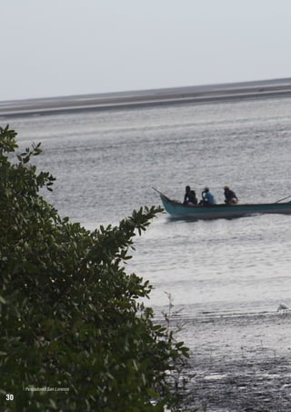 Pescadores San Lorenzo

30

 