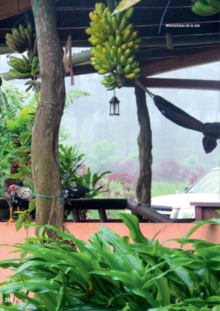 Microclimas de la isla

360

 