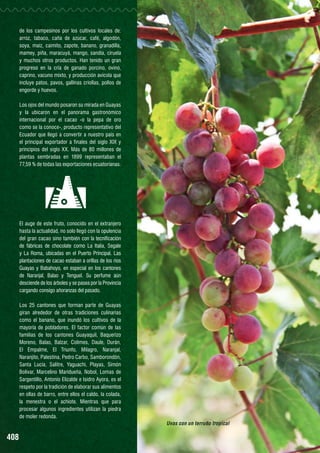 de los campesinos por los cultivos locales de:
arroz, tabaco, caña de azúcar, café, algodón,
soya, maíz, caimito, zapote, banano, granadilla,
mamey, piña, maracuyá, mango, sandía, ciruela
y muchos otros productos. Han tenido un gran
progreso en la cría de ganado porcino, ovino,
caprino, vacuno mixto, y producción avícola que
incluye patos, pavos, gallinas criollas, pollos de
engorde y huevos.

HIRBERIA QUITEÑA

Los ojos del mundo posaron su mirada en Guayas
y la ubicaron en el panorama gastronómico
internacional por el cacao -o la pepa de oro
como se la conoce-, producto representativo del
Ecuador que llegó a convertir a nuestro país en
el principal exportador a finales del siglo XIX y
principios del siglo XX. Más de 80 millones de
plantas sembradas en 1899 representaban el
77,59 % de todas las exportaciones ecuatorianas.

El auge de este fruto, conocido en el extranjero
hasta la actualidad, no solo llegó con la opulencia
del gran cacao sino también con la tecnificación
de fábricas de chocolate como La Italia, Segale
y La Roma, ubicadas en el Puerto Principal. Las
plantaciones de cacao estaban a orillas de los ríos
Guayas y Babahoyo, en especial en los cantones
de Naranjal, Balao y Tenguel. Su perfume aún
desciende de los árboles y se pasea por la Provincia
cargando consigo añoranzas del pasado.
Los 25 cantones que forman parte de Guayas
giran alrededor de otras tradiciones culinarias
como el banano, que inundó los cultivos de la
mayoría de pobladores. El factor común de las
familias de los cantones Guayaquil, Baquerizo
Moreno, Balao, Balzar, Colimes, Daule, Durán,
El Empalme, El Triunfo, Milagro, Naranjal,
Naranjito, Palestina, Pedro Carbo, Samborondón,
Santa Lucía, Salitre, Yaguachi, Playas, Simón
Bolívar, Marcelino Maridueña, Nobol, Lomas de
Sargentillo, Antonio Elizalde e Isidro Ayora, es el
respeto por la tradición de elaborar sus alimentos
en ollas de barro, entre ellos el caldo, la colada,
la menestra o el achiote. Mientras que para
procesar algunos ingredientes utilizan la piedra
de moler redonda.
Uvas con un terruño tropical

408

 