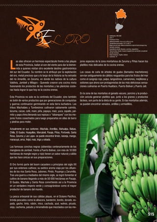 L

EL

ORO

as olas ofrecen un hermoso espectáculo frente a las playas
de esta Provincia, bailan al son del viento para dar la bienvenida a quienes visitan otro excelente destino gastronómico
del sur del Ecuador. Su nombre se le atribuyó por la explotación
del oro, metal precioso que a lo largo de la historia se ha extraído
del río Amarillo, en Zaruma, en donde los nativos de la cultura
Valdivia, Jambelí y Milagro - Quevedo crearon una cocina mixta
fusionando los productos de las montañas y las planicies costeras hasta lograr lo que hoy es la cocina orense.
Esta Provincia no solo es la centinela del Ecuador, sino también
es botín de varios productos que por generaciones de conquistas
y guerras continuaron germinando en esta tierra luchadora. Las
tribus Machaláes y Tumbesinos cultivaron sabiamente caimito,
lúcuma, cacao, café, maní, piña, papaya, maíz, yuca, zapallo, palmito y papa china llenando sus repisas o “tabanques” con los mejores frutos cosechados para luego prepararlos en ollas de barro
y piedras para moler.

Habitantes: 304.362
Zona: 7
Provincia: El Oro
Altitud promedio: 4 m.s.n.m. a 6 m.s.n.m.
Temperatura promedio: 10 °C a 26 °C
Mapa zona de vida: Matorral desértico tropical hasta bosque muy
húmedo montano
Ingrediente estrella: Banano, conchas, langostinos
Tipo de clima: Desde tropical megatérmico semiárido a ecuatorial
de alta montaña
Plato Emblema: Tigrillo, meloso
Cantones: 14

jores especies de la zona montañosa de Zaruma y Piñas hacen los
platillos más delicados de la cocina orense.
Las casas de caña de árboles de guaba (llamados machetones)
servían antiguamente de cálidos resguardos para los frutos del mar
como el cangrejo rojo, pulpo, langostinos, camarones, mejillones y
ostiones que ahora son protagonistas de las más deliciosas sensaciones culinarias en Puerto Hualtaco, Puerto Bolívar y Puerto Jelí.
En la zona de las montañas el ganado vacuno, porcino y la producción avícola generan platillos que, junto a los granos y productos
lácteos, son parte de la dieta de su gente. En las montañas además,
se pueden encontrar venados, ardillas y armadillos.

Actualmente en sus cantones -Machala, Arenillas, Atahualpa, Balsas,
Chilla, El Guabo, Huaquillas, Marcabelí, Pasaje, Piñas, Portovelo, Santa
Rosa, Zaruma y Las Lajas- se puede encontrar limón, naranja, mango,
maracuyá, arroz, fréjol, maíz, trigo y cebada.
Las famosas conchas negras (obtenidas centenariamente de los
manglares de Jambelí, frente a Puerto Bolívar, con más de 10 000
hectáreas de mangle negro y rojo) tienen un sabor natural y cálido
que las hace únicas en sus preparaciones.
El Oro formó parte del boom cacaotero a principios del siglo XX
por sus extensos cultivos; su exótico aroma viaja por los afluentes de los ríos Santa Rosa, Jubones, Pindo, Puyango y Zarumilla.
Tras una guerra a mediados del mismo siglo, se logró fomentar el
cultivo de banano llegando a más de 50 000 hectáreas en Pasaje,
El Guabo, Machala y Santa Rosa convirtiendo así a la Provincia
en un verdadero imperio verde y consagrándose como el mayor
productor de banano del mundo.
La pesca artesanal de sus cálidas playas, en el Océano Pacífico,
brinda pescados como la albacora, banderón, bonito, dorado, espada, gacho, tinto, rabón, mico, cachuda, azul, wahoo, picudo,
vieja, cachema, patudo y miramelindo que mezclados con las me-

515

 