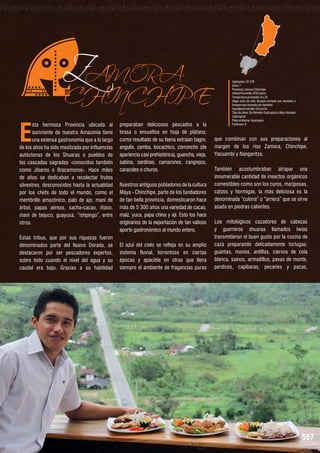 E

ZAMORA

CHINCHIPE

sta hermosa Provincia ubicada al
suroriente de nuestra Amazonía tiene
una extensa gastronomía que a lo largo
de los años ha sido mestizada por influencias
autóctonas de los Shuaras o pueblos de
las cascadas sagradas -conocidos también
como Jíbaros o Bracamoros-. Hace miles
de años se dedicaban a recolectar frutos
silvestres, desconocidos hasta la actualidad
por los chefs de todo el mundo, como el
membrillo amazónico, palo de ajo, maní de
árbol, papas aéreas, sacha-cacao, iñaco,
maní de bejuco, guayusa, “ishpingo”, entre
otros.
Estas tribus, que por sus riquezas fueron
denominados parte del Nuevo Dorado, se
destacaron por ser pescadores expertos,
sobre todo cuando el nivel del agua y su
caudal era bajo. Gracias a su habilidad

preparaban deliciosos pescados a la
brasa o envueltos en hoja de plátano,
como resultado de su faena extraían bagre,
anguila, zamba, bocachico, corroncho (de
apariencia casi prehistórica), guancha, vieja,
sabina, sardinas, camarones, cangrejos,
caracoles o churos.

Nuestros antiguos pobladores de la cultura
Maya - Chinchipe, parte de los fundadores
de tan bella provincia, domesticaron hace
más de 5 300 años una variedad de cacao,
maíz, yuca, papa china y ají. Esto los hace
originarios de la exportación de tan valioso
aporte gastronómico al mundo entero.
El azul del cielo se refleja en su amplio
sistema fluvial, torrentoso en ciertas
épocas y apacible en otras que llena
siempre el ambiente de fragancias puras

Habitantes: 91.376
Zona: 7
Provincia: Zamora Chinchipe
Altitud Promedio: 970 msnm
Temperatura promedio: 8 a 24
Mapa zona de vida: Bosque húmedo pre montano a
bosque muy húmedo pre montano
Ingrediente estrella: Coroncho
Tipo de clima: De Húmedo Subtropical a Muy Húmedo
Subtropical
Plato emblema: Ayampaco
Cantones: 9

que combinan con sus preparaciones al
margen de los ríos Zamora, Chinchipe,
Yacuambí y Nangaritza.
También acostumbraban atrapar una
innumerable cantidad de insectos orgánicos
comestibles como son los curos, mariposas,
catzos y hormigas, la más deliciosa es la
denominada “culona” o “arriera” que se sirve
asada en piedras calientes.
Los mitológicos cazadores de cabezas
y guerreros shuaras llamados Iwias
transmitieron el buen gusto por la cocina de
caza preparando delicadamente tortugas,
guantas, monos, ardillas, ciervos de cola
blanca, saínos, armadillos, pavas de monte,
perdices, capibaras, pecaríes y pacas,

557

 