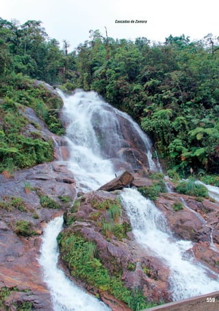 Cascadas de Zamora

559

 