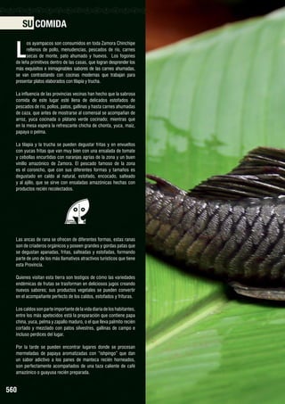 SU COMIDA

L

os ayampacos son consumidos en toda Zamora Chinchipe
rellenos de pollo, menudencias, pescados de río, carnes
secas de monte, pato ahumado y huevos. Los fogones
de leña primitivos dentro de las casas, que logran desprender los
más exquisitos e inimaginables sabores de las carnes ahumadas,
se van contrastando con cocinas modernas que trabajan para
presentar platos elaborados con tilapia y trucha.
La influencia de las provincias vecinas han hecho que la sabrosa
comida de este lugar esté llena de delicados estofados de
pescados de río, pollos, patos, gallinas y hasta carnes ahumadas
de caza, que antes de mostrarse al comensal se acompañan de
arroz, yuca cocinada o plátano verde cocinado; mientras que
en la mesa espera la refrescante chicha de chonta, yuca, maíz,
papaya o pelma.
La tilapia y la trucha se pueden degustar fritas y en envueltos
con yucas fritas que van muy bien con una ensalada de tomate
y cebollas encurtidas con naranjas agrias de la zona y un buen
vinillo amazónico de Zamora. El pescado famoso de la zona
es el coroncho, que con sus diferentes formas y tamaños es
degustado en caldo al natural, estofado, encocado, salteado
y al ajillo, que se sirve con ensaladas amazónicas hechas con
productos recién recolectados.

Las ancas de rana se ofrecen de diferentes formas, estas ranas
son de criaderos orgánicos y poseen grandes y gordas patas que
se degustan apanadas, fritas, salteadas y estofadas, formando
parte de uno de los más llamativos atractivos turísticos que tiene
esta Provincia.
Quienes visitan esta tierra son testigos de cómo las variedades
endémicas de frutas se trasforman en deliciosos jugos creando
nuevos sabores; sus productos vegetales se pueden convertir
en el acompañante perfecto de los caldos, estofados y frituras.
Los caldos son parte importante de la vida diaria de los habitantes,
entre los más apetecidos está la preparación que contiene papa
china, yuca, pelma y zapallo maduro, o el que lleva palmito recién
cortado y mezclado con patos silvestres, gallinas de campo e
incluso perdices del lugar.
Por la tarde se pueden encontrar lugares donde se procesan
mermeladas de papaya aromatizadas con “ishpingo” que dan
un sabor adictivo a los panes de manteca recién horneados,
son perfectamente acompañados de una taza caliente de café
amazónico o guayusa recién preparada.

560

CARACHAMA

 