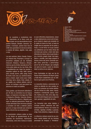 IMBABURA
L

os cazadores y recolectores más
importantes de la Sierra norte del
Ecuador son los descendientes de los
pueblos Imbayas, Otavalos, Sarances, Cayambis y Caranquis, quienes hace más de
5.000 años aprendieron el arte de la siembra
y cosecha del tabaco, algodón, maíz, papa
y coca.
Los seis cantones -Ibarra, Otavalo, Cotacachi, Antonio Ante, Pimampiro y Urcuqui- se
encuentran cobijados por las montañas
Cotacachi, Imbabura, Yanaurco y Mirador,
mientras que los límites naturales de la Provincia están dados por los ríos Chota, Mira
y Guayllabamba que riegan los grandes y
pequeños cultivos de maíz, haba, quinua,
paico, toronjil, jícama, uvilla, yanga, moras
de monte, tocte, taxo, ají, zanahoria blanca,
penco, arrayán, capulí, asnac-yuyo, frutilla,
chirimoya, berro, alverja, fréjol, cebada, trigo, zapallo, oca, melloco, plátano, caña de
azúcar, col, lechuga y yuca que posan majestuosos en todos sus platillos.
Estos pueblos, que ferozmente defendieron
por 20 años la arremetida Inca de Huayna
Capac, se inspiraron en los lagos San Pablo
o Imbakucha (Otavalo), Cuicocha (Cotacachi), Yahuarcocha (Ibarra) y Mojanda para
lograr su delicada gastronomía. Desde sus
chozas admiraban estos hermosos paisajes
y cocinaban con leña y ardientes piedras
para dar un toque ahumado que conservan
hasta el día de hoy sus preparaciones.
Su cosmovisión culinaria andina se basa
en las fiestas de agradecimiento de las
cosechas, los nacimientos, matrimonios,
defunciones, entre otros motivos en donde

se usan diferentes preparaciones. Llevan
a cabo celebraciones como la de la Uyanga en donde la alegría gira alrededor de
la colada de harina de maíz; la fiesta de
Uniglla eleva la exquisitez de los panes y
frutas, o la del Yamor en la que cuentan
sus pobladores que las indias diosas del
sol tenían que cocinar y moler siete tipos
diferentes de maíces como el germinado o
jora, morocho, canguil, chulpi, maíz negro,
blanco y amarillo, para luego preparar la
famosa chicha del yamor (conocida también como yamor-aka o yamor-toctoy)
para el rey de los Imbayas, que castigaba
con pena de muerte a quien se atreviera
beber la chicha sin ser soberano.

Habitantes: 398.244
Zona: 1
Provincia : Imbabura
Altura : Desde 2383 m.s.n.m hasta 3377 m.s.n.m.
Temperatura promedio: 4°C a 24°C
Mapa zona de vida: Bosque húmedo montano hasta bosque seco
montano bajo
Ingrediente estrella: Maíz
Tipo de clima : Desde tropical megatérmico húmedo a ecuatorial
de alta montaña.
Plato emblema : Helados de paila, arropes y empanadas de
morocho (Ibarra), plato y chicha del Yamor (Otavalo), carnes
coloradas (Cotacachi), cuyes asados (Antonio Ante).
Cantones: 6

Los fogones de Chaltura

Otras festividades de rigor son las de
Pawcar Raymi (febrero) Inti Raymi (junio)
y Kulla Raymi (septiembre) que se celebran en gran parte de la Provincia.
La costumbre festiva y ceremonial de la
chicha ha obtenido los más variados sabores y se consume con mucha satisfacción las chichas de uvilla, avena, maíces,
chamburo o chamburada, quinua, morocho, mashua, jora, cidra, arroz, aloja, hasta la chicha del chinguero que es a base de
maíz, guarapo y aguardiente de caña.
Los fermentos para estas bebidas o
cervezas andinas milenarias han sido
tradicionalmente hechos con huesos de
animales, lagartijas amarillas o guacsas,
ortiga, frutos silvestres y bagazos de caña.

Fogones de Chaltura

La influencia culinaria actual de sus cantones cuenta todavía con los famosos
personajes de trueques o “fichuleros”

69

 