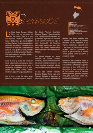 L

SUCUMBÍOS

as tribus Sionas, Secoyas, Cofanes
y Tetetes son los guardianes del
norte del Ecuador, viven en la zona
más importante y biodiversa del planeta, la
Reserva del Cuyabeno que abarca 255.000
hectáreas. Aquí, por cientos de años pudieron
desarrollar sus prácticas culinarias con la
recolección de frutas y la caza matutina de
guatusas, pavas, guatines y saínos, mientras
que por la noche las opciones eran lagartos,
boas, patos, capibaras, armadillos, venados,
monos, tortugas y perdices.

Luego de secar y ahumar las carnes por
horas, estas tribus fronterizas con el vecino
país del norte, elaboraban caldos, sopas y
mazamorras incorporando yuca, ají, maní,
plátano verde, chonta, caimito, camote,
chontaduro, papa china, aguacate y hongos.
Bajo la firme mirada del volcán activo
Reventador (3.562 metros) los ríos Aguarico,

San Miguel, Putumayo, Sucumbíos,
Cuyabeno, Cofanes y Guepi descienden
de la cordillera oriental albergando una
gran variedad de peces que se convierten
en un suculento alimento del lugar, el
sabor inconfundible del bocachico,
bagre, piraña, sardina, raya, perro, pato,
sábalo, ratón, sabaleta, palometa, singo,
barbudi y pintadillo son la alternativa más
deliciosa.
Sus lagunas atesoran una amplia
diversidad de tortugas charapas,
caimanes y lagartos multicolores donde
los nativos recolectan en ocasiones sus
huevos para hacer envueltos a la brasa,
como sucede en la laguna de Limoncocha.
En sus siete cantones -Cascales,
Cuyabeno, Gonzalo Pizarro, Lago Agrio,
Putumayo, Sushufindi y Sucumbíos- se
puede observar piscinas artesanales de

Habitantes: 176.472
Zona: 1
Provincia: Sucumbíos
Altura: Desde 300 m.s.n.m. hasta 3.562 m.s.n.m.
Temperatura Promedio: 4°C a 28°C
Mapa zona de vida: De bosque húmedo montano a
bosque seco montano bajo
Ingrediente estrella: Uva amazónica
Tipo de clima: De mega térmico lluvioso a ecuatorial
de alta montaña.
Plato emblema : Bocachico ahumado
Cantones: 7

pescados como tilapia, bocachico, vieja
y dormilón; estas delicias se volvieron
irresistibles para los trabajadores de las
empresas petroleras que explotan la zona
y que buscan ser provistos con amplios
servicios culinarios, aumentando la
crianza de ganado vacuno de primera
calidad, porcino, crianza de gallinas y
producción avícola.
Las plantas, aves, mamíferos, reptiles y
anfibios son un ejemplo de mega diversidad
que caracteriza a la Amazonía; sus grandes
extensiones de tierra fértil proveen de
plantaciones de coco, mandarina, caña
de azúcar, morete, guabas de diferentes
tamaños y sabores, granadilla, papaya de
monte, piña, zapote, cacao, pambil, café,
toronjas, pimientos y pepinos.

93

 