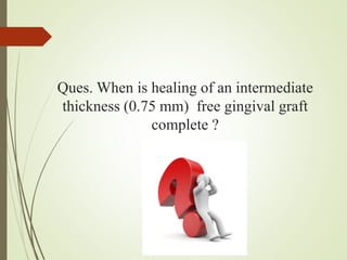 Ques. When is healing of an intermediate
thickness (0.75 mm) free gingival graft
complete ?
 