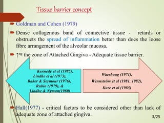 Tissue barrier concept
 Goldman and Cohen (1979)
 Dense collagenous band of connective tissue - retards or
obstructs the spread of inflammation better than does the loose
fibre arrangement of the alveolar mucosa.
 ↑ng the zone of Attached Gingiva - Adequate tissue barrier.
 Hall(1977) - critical factors to be considered other than lack of
adequate zone of attached gingiva.
Waerhaug (1971),
Wennström et al (1981, 1982),
Kure et al (1985)
Kennedy et al (1985),
Lindhe et al (1973),
Baker & Seymour (1976),
Rubin (1979), &
Lindhe & Nyman(1980)
3/25
 