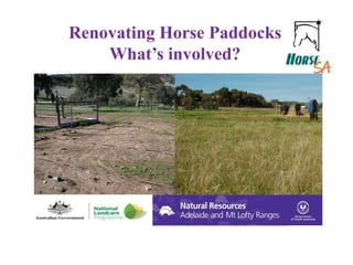 Renovating Horse Paddocks
What’s involved?
 