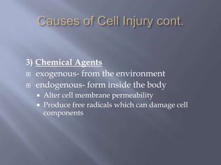 Exogenous Example Body final pathophysiology.pptx
