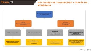 Tema 01
McMurry, J. (2018)
MECANISMO DE TRANSPORTE A TRAVÉS DE
MEMBRANA
 