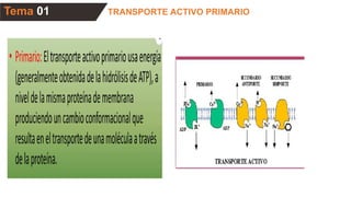 TRANSPORTE ACTIVO PRIMARIO
Tema 01
 