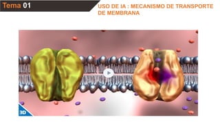 USO DE IA : MECANISMO DE TRANSPORTE
DE MEMBRANA
Tema 01
 