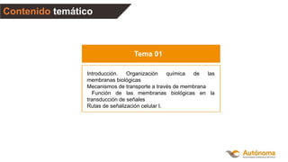 Tema 01
Introducción. Organización química de las
membranas biológicas
Mecanismos de transporte a través de membrana
Función de las membranas biológicas en la
transducción de señales
Rutas de señalización celular I.
Contenido temático
 