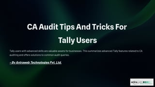 CA Audit Tips and Tricks For Tally Users | PDF