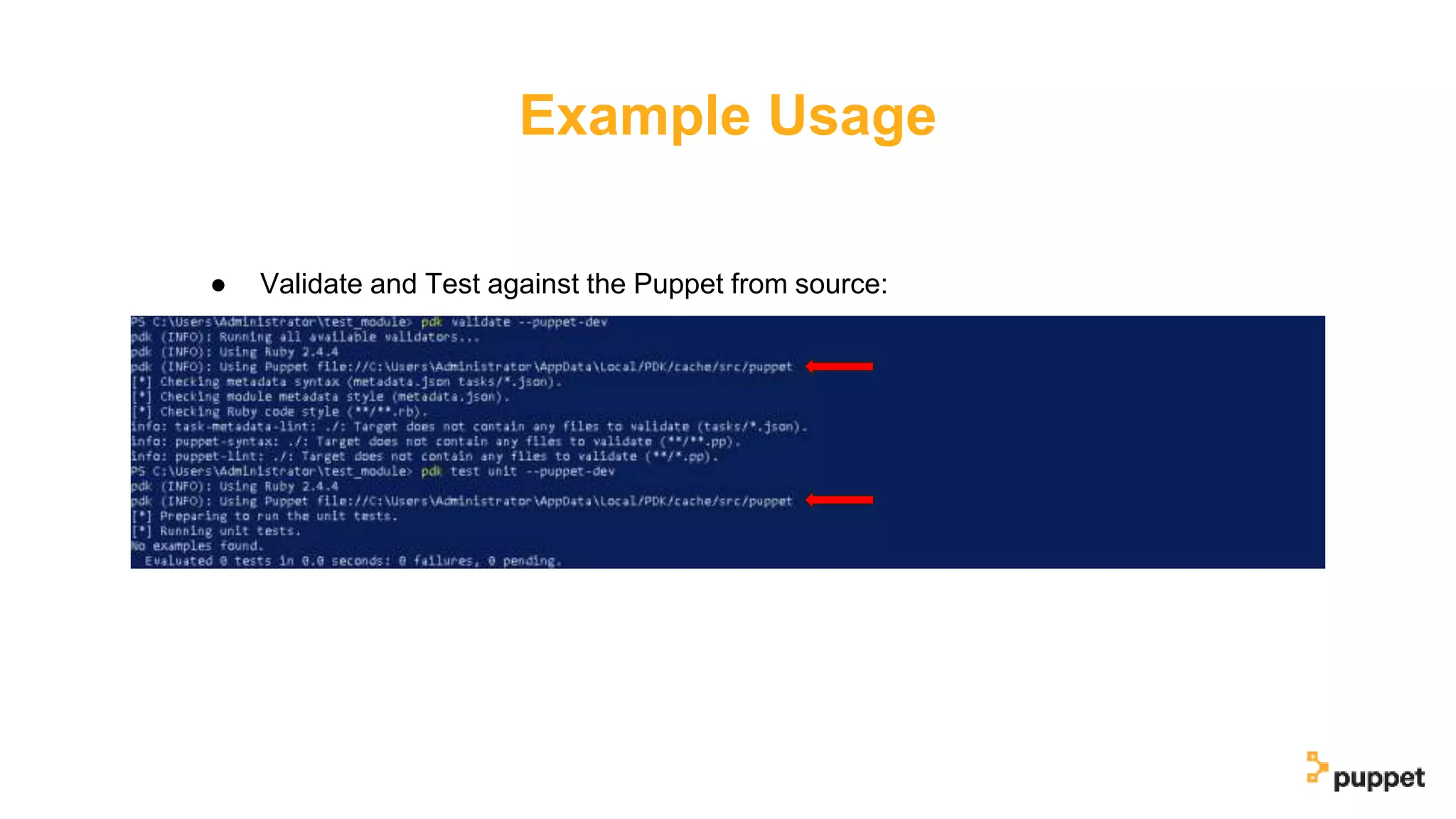 Example Usage
● Validate and Test against the Puppet from source:
 