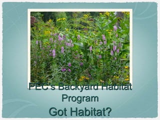 PEC’s Backyard Habitat
Program
Got Habitat?
 