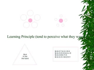 Learning Principle (tend to perceive what they want )
 