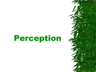 Perception
 