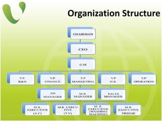 Organization Structure
 