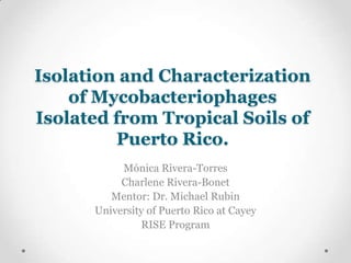 Isolation and Characterization
of Mycobacteriophages
Isolated from Tropical Soils of
Puerto Rico.
Mónica Rivera-Torres
Charlene Rivera-Bonet
Mentor: Dr. Michael Rubin
University of Puerto Rico at Cayey
RISE Program
 