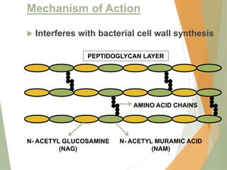 Mechanism of Action
 Interferes with bacterial cell wall synthesis
11
PEPTIDOGLYCAN LAYER
N- ACETYL MURAMIC ACID
(NAM)
N- ACETYL GLUCOSAMINE
(NAG)
AMINO ACID CHAINS
 