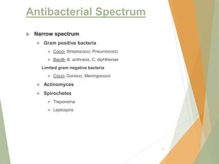 Antibacterial Spectrum
 Narrow spectrum
 Gram positive bacteria
 Cocci- Streptococci, Pneumococci
 Bacilli- B. anthracis, C. diphtheriae
Limited gram negative bacteria
 Cocci- Gonocci, Meningococci
 Actinomyces
 Spirochetes
 Treponema
 Leptospira
15
 