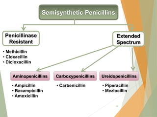 Semisynthetic Penicillins
Penicillinase
Resistant
Extended
Spectrum
• Methicillin
• Cloxacillin
• Dicloxacillin
• Ampicillin
• Bacampicillin
• Amoxicillin
• Carbenicillin • Piperacillin
• Mezlocillin
Aminopenicillins Carboxypenicillins Ureidopenicillins
28
 
